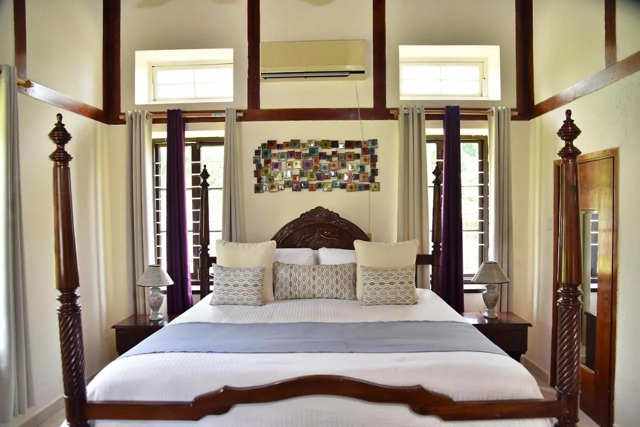 Blue Water Villas Whitehouse